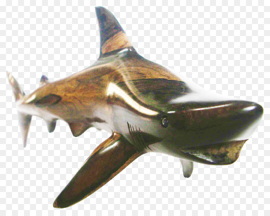 Terreno Tubarões，Blacktip De Tubarão PNG