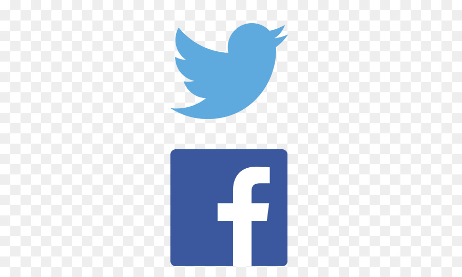 Social Media，Do Sul Correia Da Câmara De Comércio PNG