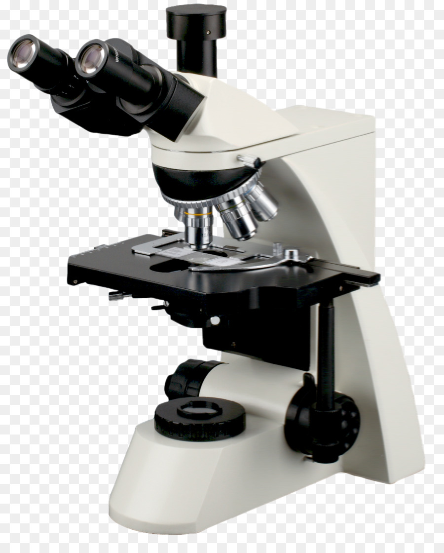 Microscópio，Microscópio óptico PNG