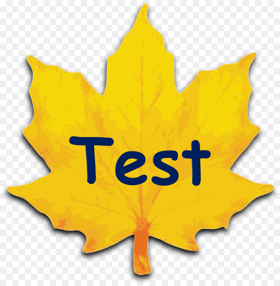 Maple Leaf，Açúcar De Maple PNG