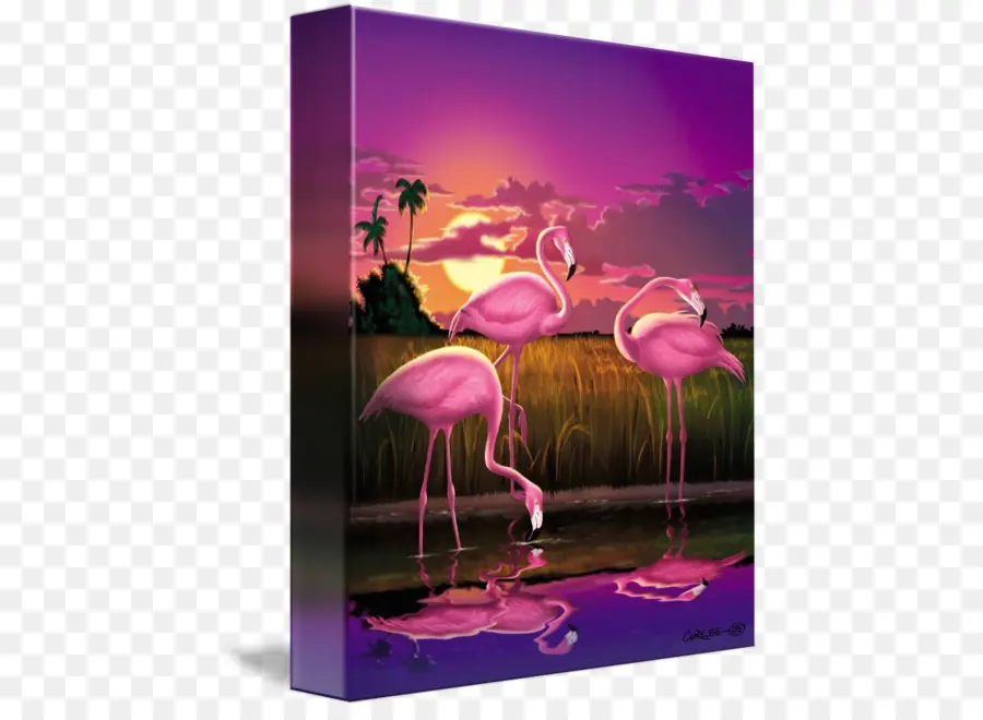 Flamingo，Pintura PNG