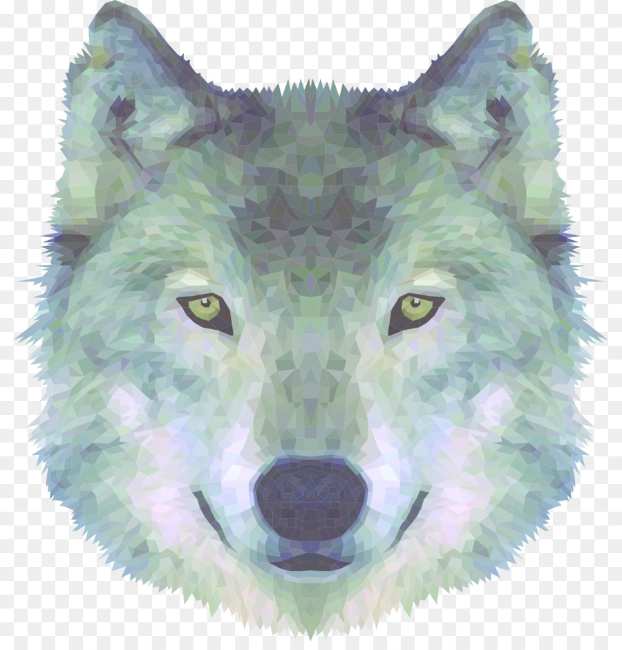 Tundra Lobo，Coyote PNG