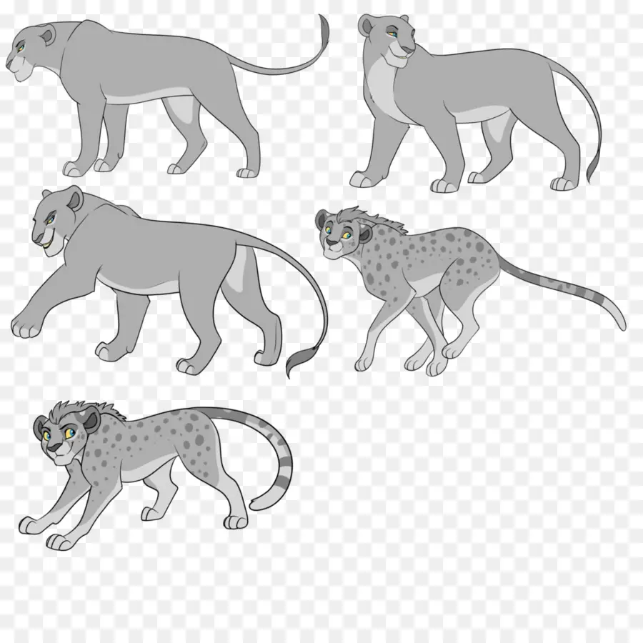 Gatos Grandes De Desenho Animado，Leões PNG