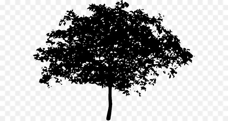árvore，Voz Das Crianças Na árvore De Maçã PNG