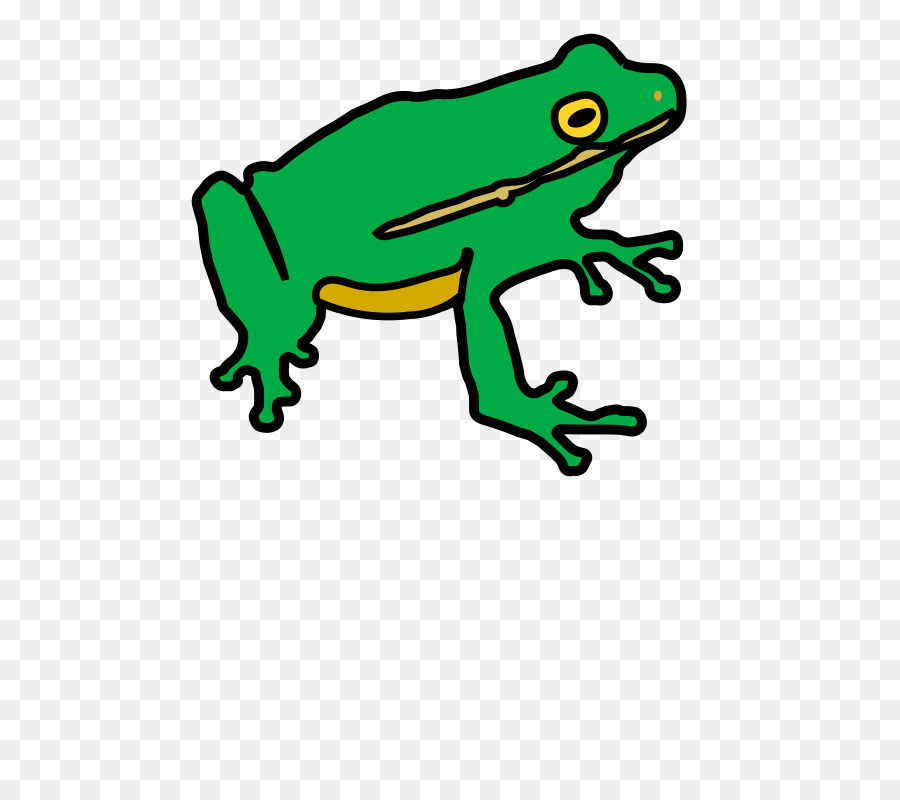 Sapo，Amphibians PNG