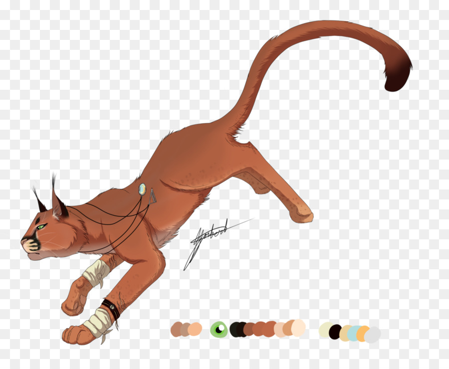 Cavalo，Gato PNG