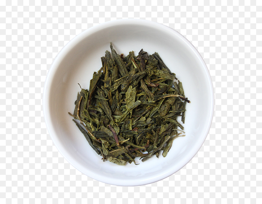 Chá，Planta Do Chá PNG