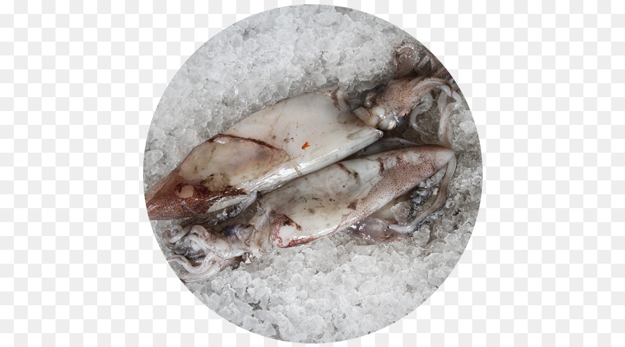 Restaurante Senhor Peixe，Tejo PNG