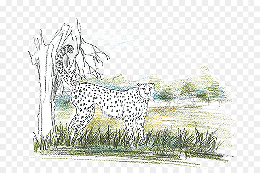 Cheetah，Leopard PNG