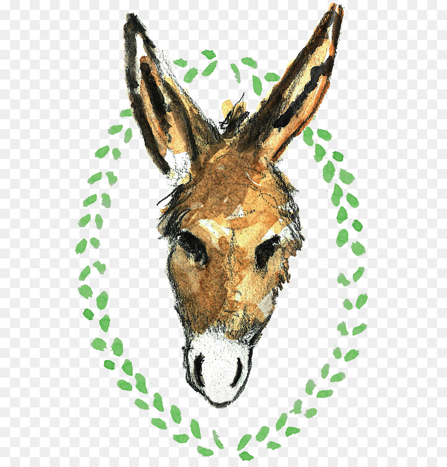 Burro，Trindade PNG