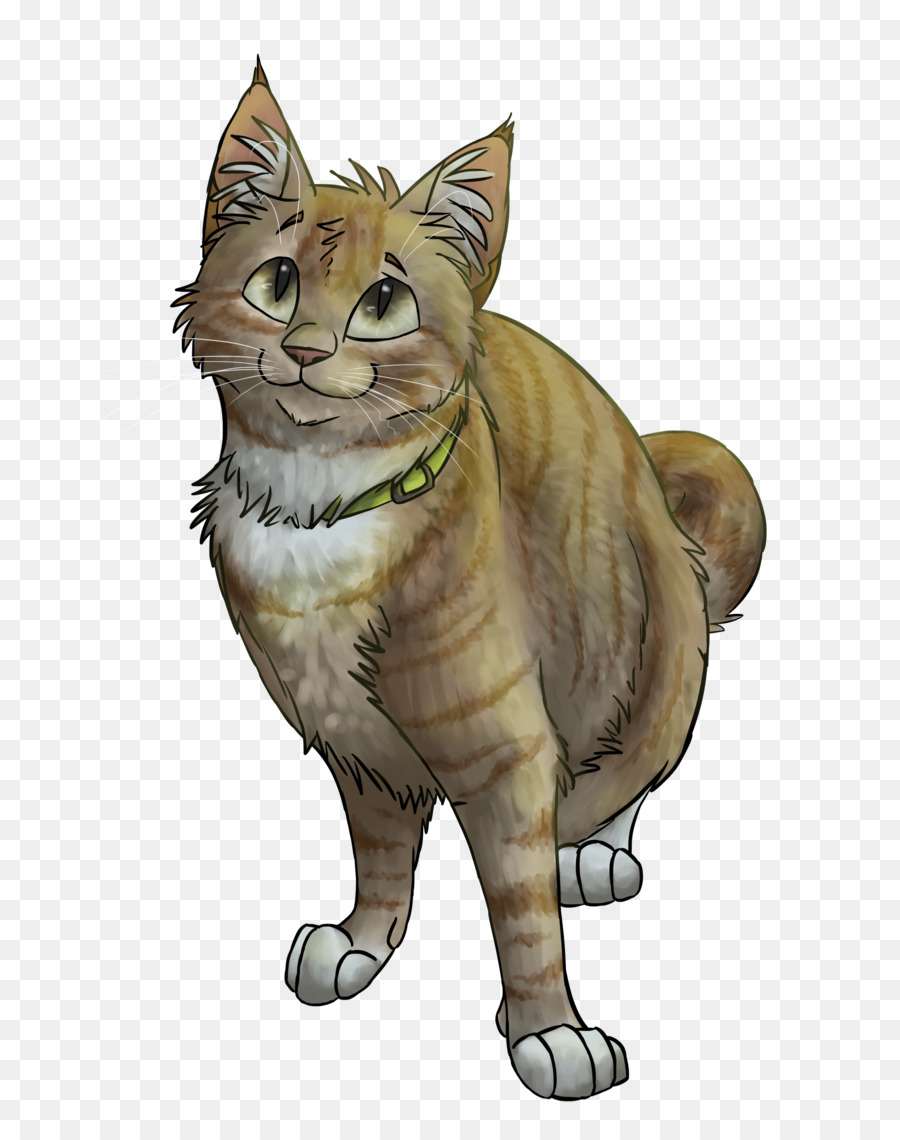 Gato Marrom，Felino PNG