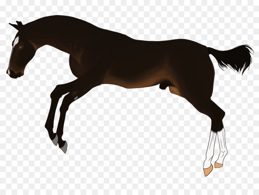 Cavalo Preto，Cavalo PNG