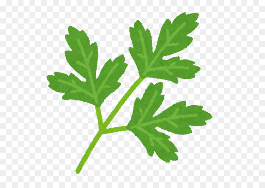 Salsa Verde，Salsinha PNG