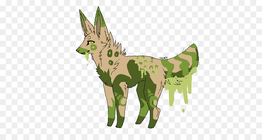 Coyote，Cavalo PNG