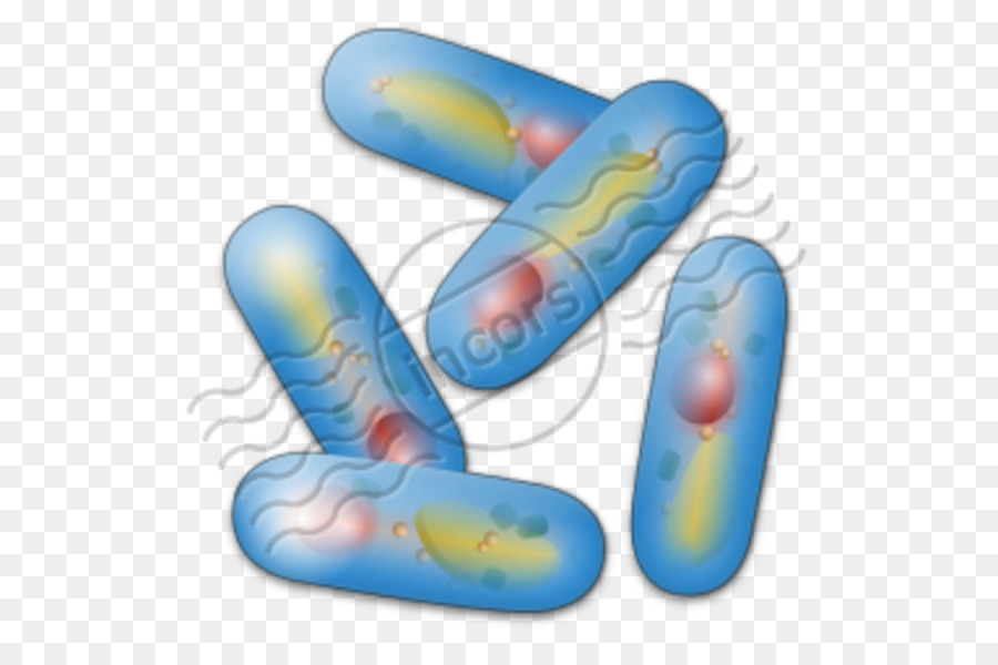 Microbiologia，ícones Do Computador PNG