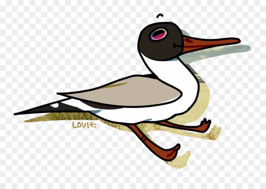 Pato，Aves PNG