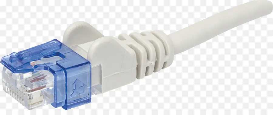 Cabo Ethernet，Conector PNG