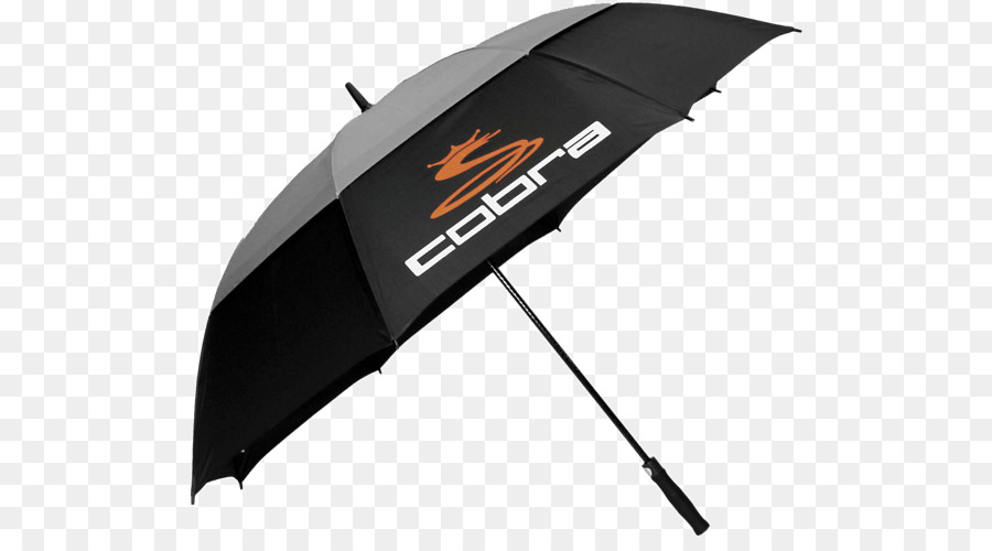 Guarda Chuva，Cobra Cama De Dossel De Guarda Chuva PNG