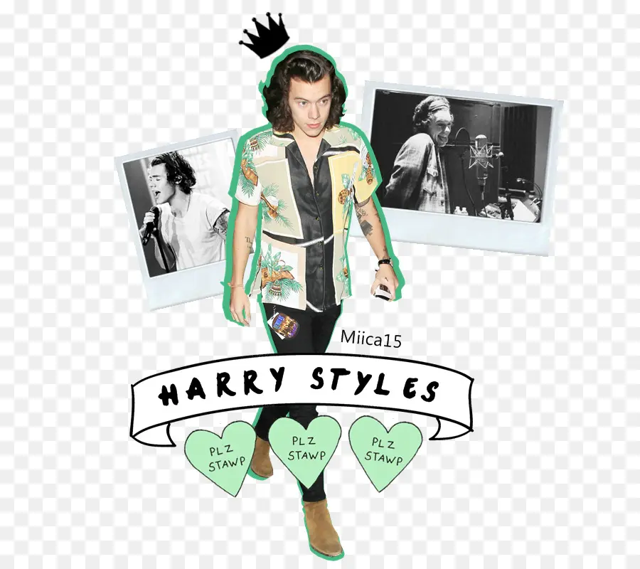 Estilos De Harry，Cantor PNG