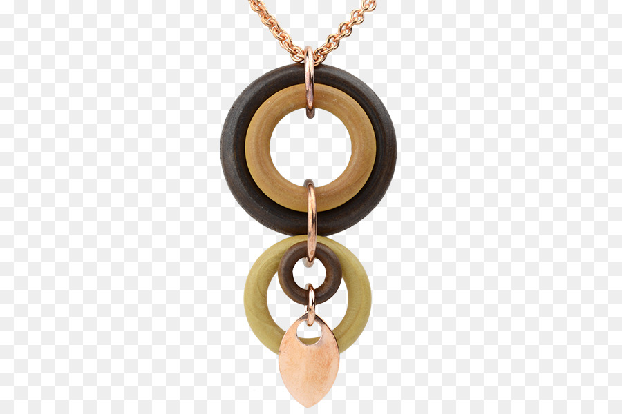 Medalhão，Necklace PNG