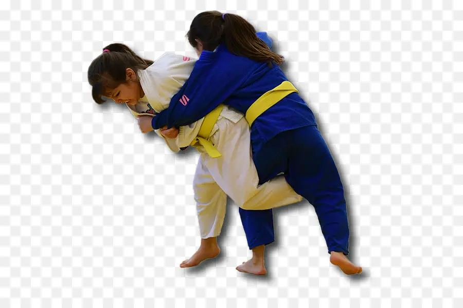 Brasileiro De Jiujitsu，Judo PNG