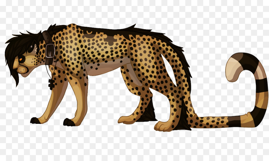 Leopardo，Pontos PNG