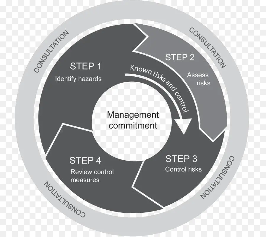Ciclo De Gestão De Risco，Passos PNG