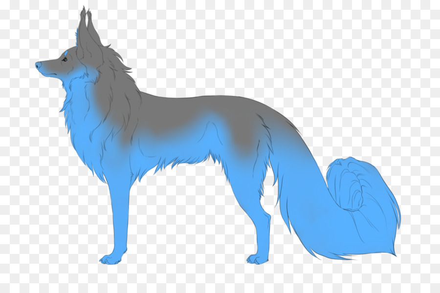 Lobo，Branco PNG