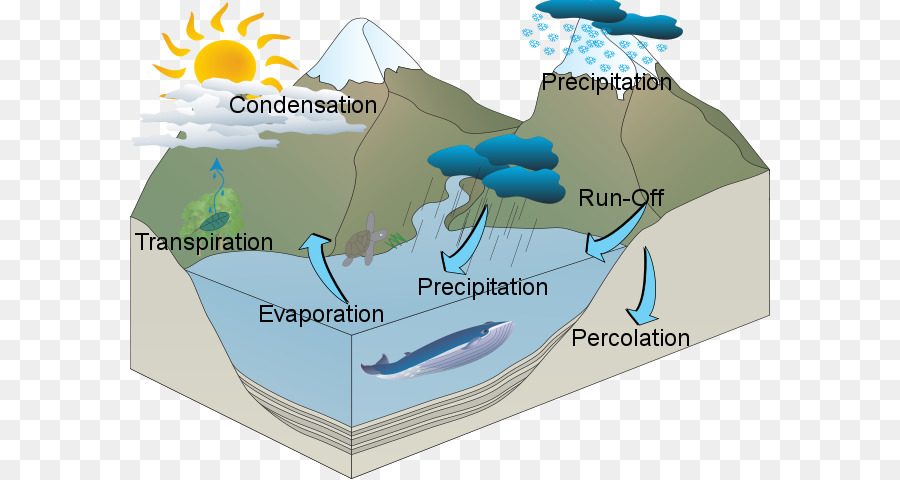 Ciclo Da água，Recursos Hídricos PNG