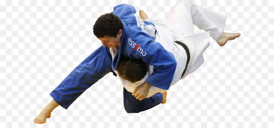 Brasileiro De Jiujitsu，Judo PNG