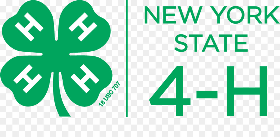 4h，Logo PNG