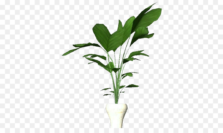 Plantas，Folha PNG