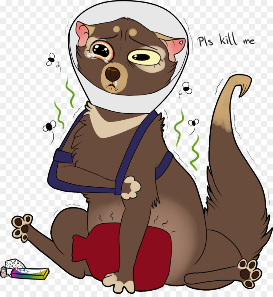 Gato，Cachorro PNG