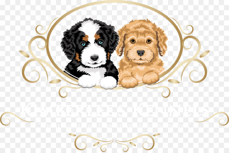 Cavalier King Charles Spaniel，Filhote De Cachorro PNG