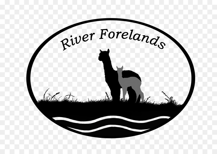 Logotipo Da Alpaca，Rio Forelands PNG