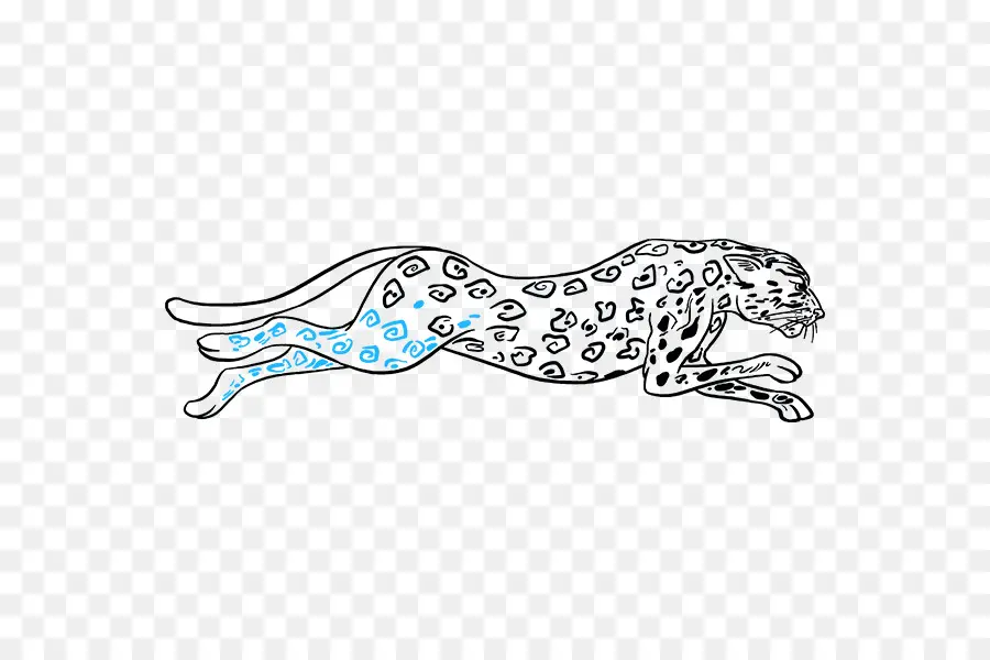 Cheetah，Desenho PNG