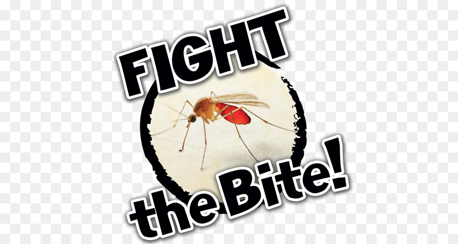Mosquito，Mosquitoborne Doenças PNG