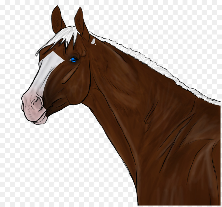 Halter，Mane PNG