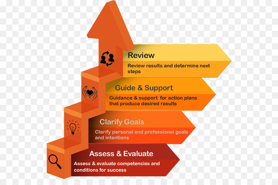 Diagrama De，Planejamento De Sucessão PNG