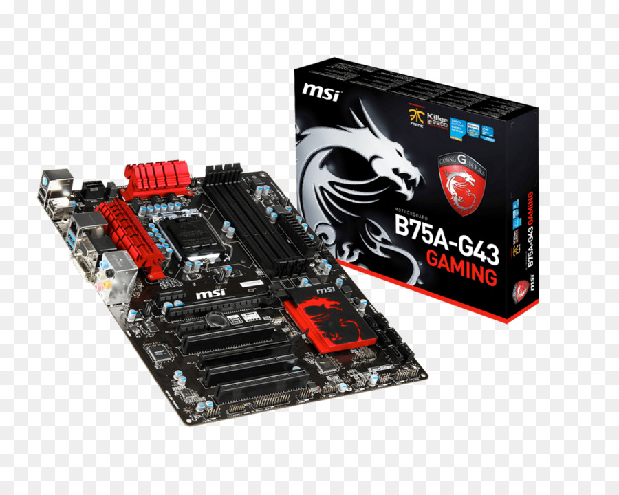 Lga 1155，Placa Mãe PNG