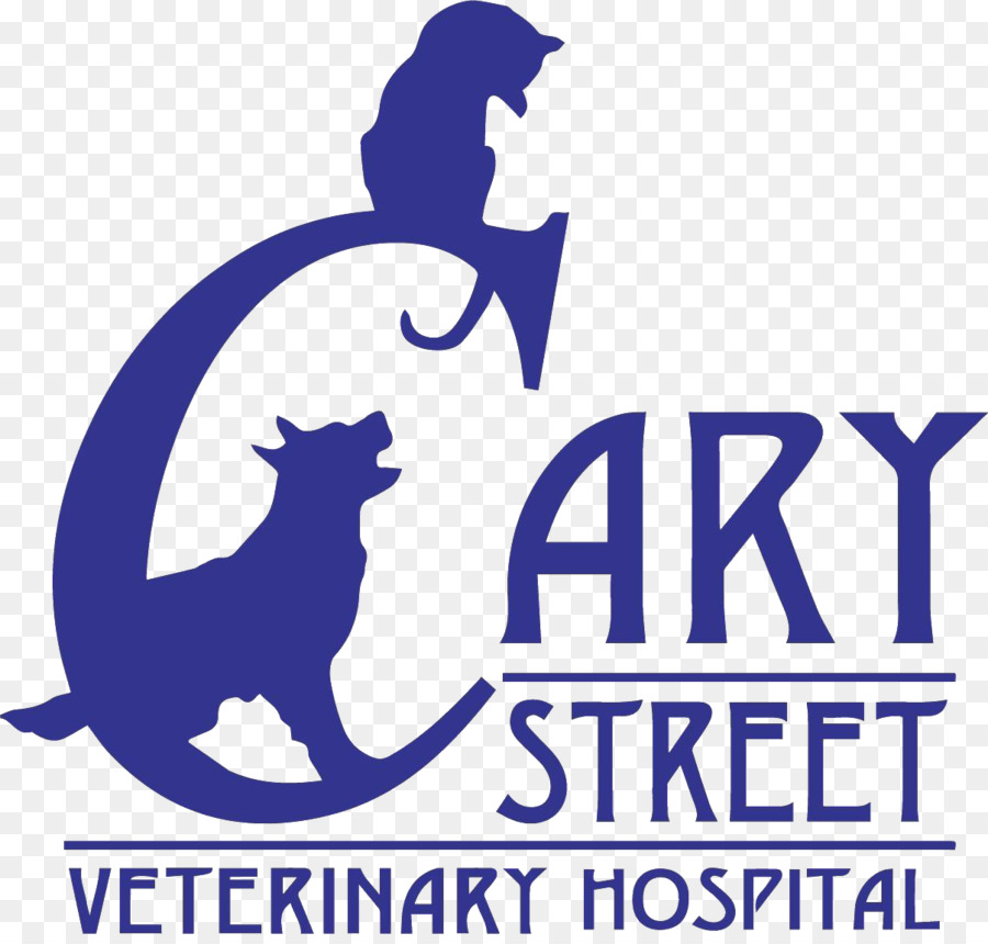 Gato，Cary Street Hospital Veterinário PNG