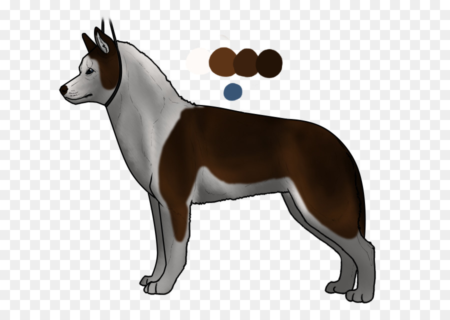 Raça Do Cão，Cachorro PNG