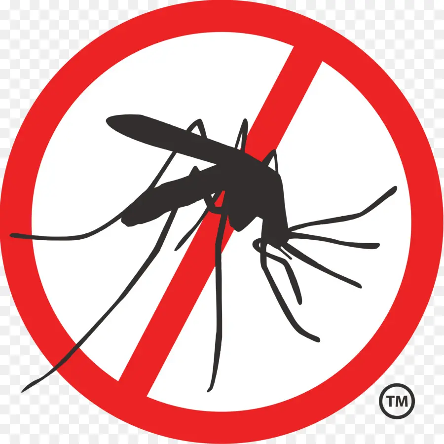 O Controle Do Mosquito，A Febre Amarela Mosquito PNG