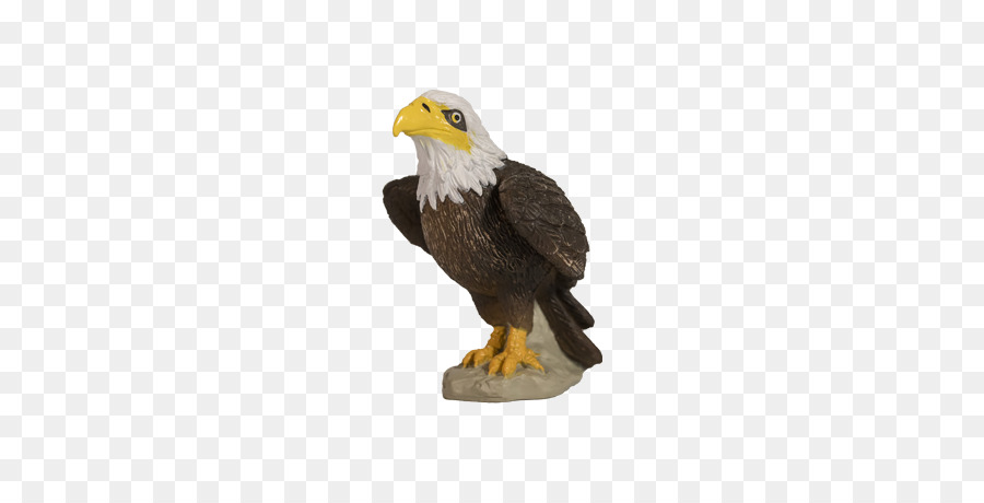 Águia，Raptor PNG