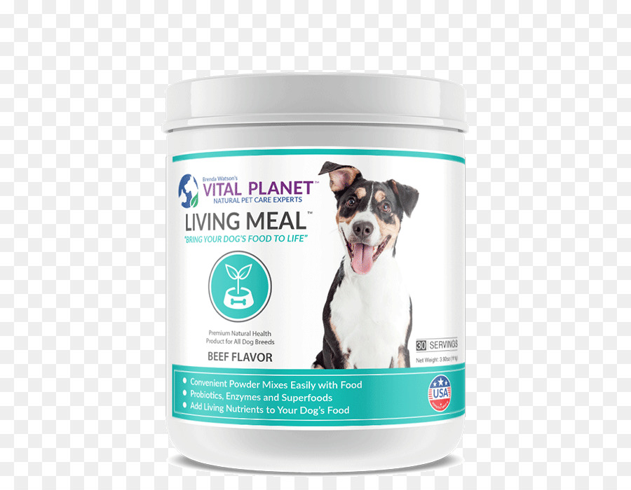 Alimentos Orgânicos，Cachorro PNG