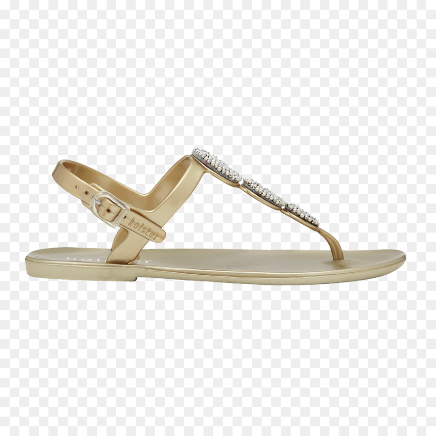 Flip Flops，Sandália PNG