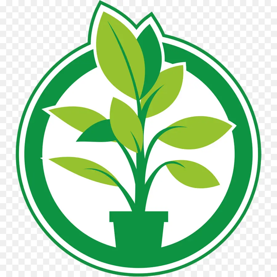 Planta Em Vaso，Plantar PNG