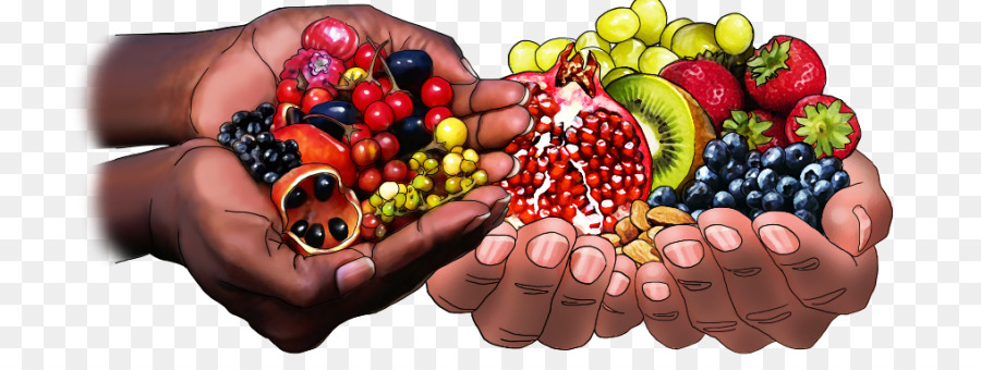 Alimentos，Nail PNG