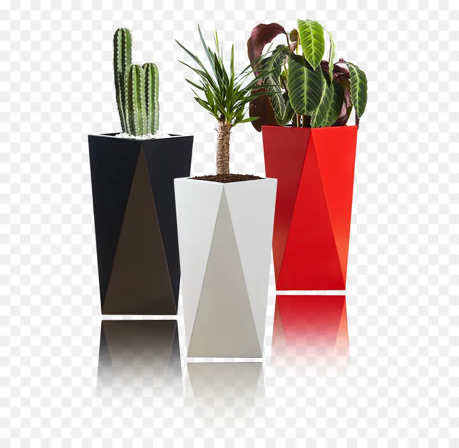 Vasos De Plantas，Cacto PNG