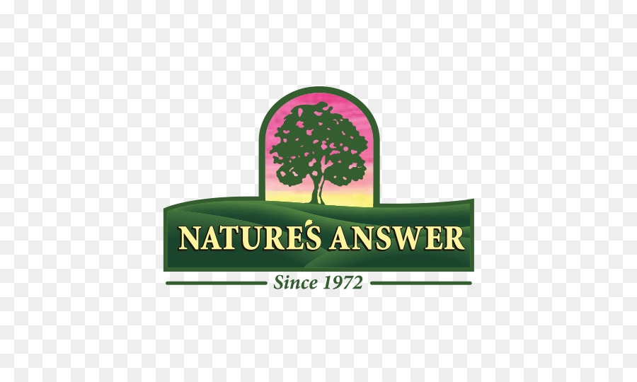 Logo，A Natureza Da Resposta S PNG